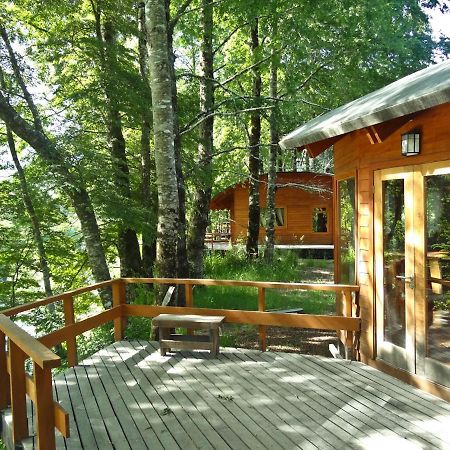 Patagonia Mawida Villa Neltume Buitenkant foto