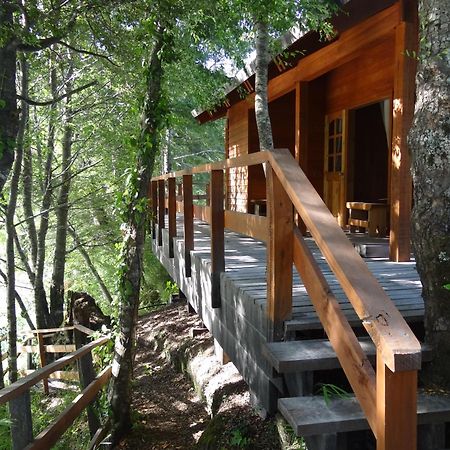 Patagonia Mawida Villa Neltume Buitenkant foto