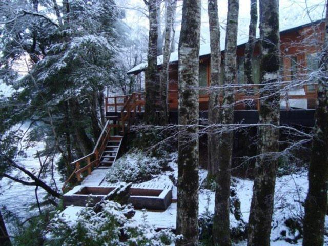 Patagonia Mawida Villa Neltume Buitenkant foto
