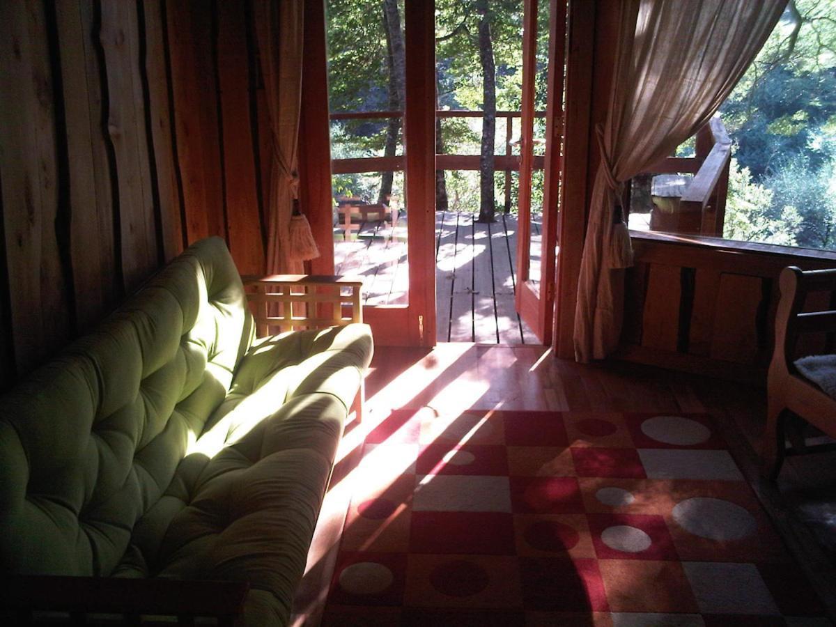 Patagonia Mawida Villa Neltume Buitenkant foto