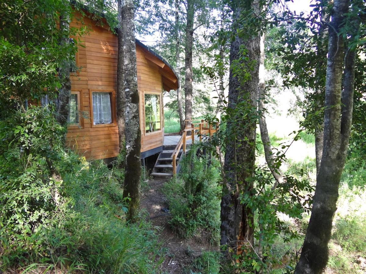 Patagonia Mawida Villa Neltume Buitenkant foto